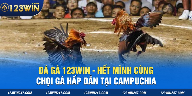 Da Ga 123WIN Het Minh Cung Choi Ga Hap Dan Tai Campuchia min 1